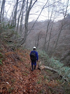 c0359615_22233776.jpg