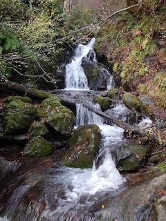 c0359615_22235912.jpg