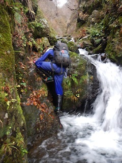 c0359615_22243623.jpg