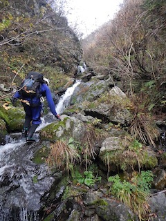 c0359615_22251516.jpg