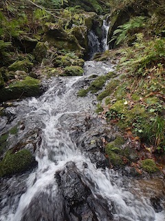 c0359615_22261388.jpg