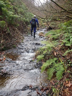 c0359615_22263539.jpg