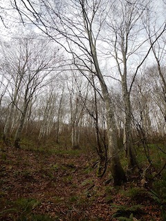 c0359615_22264798.jpg