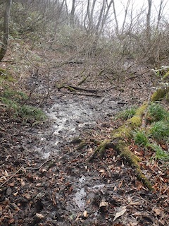 c0359615_22271096.jpg