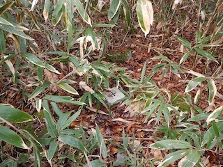 c0359615_22282798.jpg