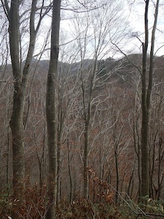 c0359615_22294591.jpg