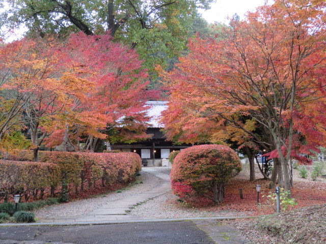 c0323917_23435115.jpg