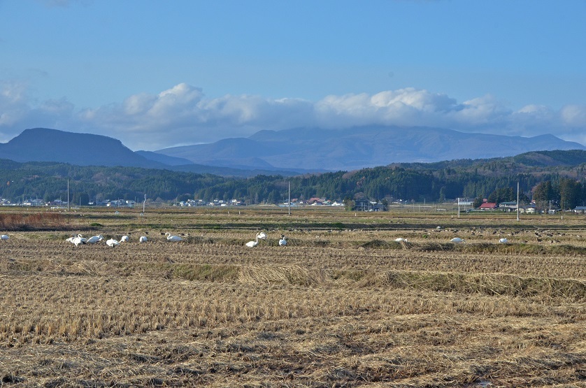 e0349817_20155165.jpg