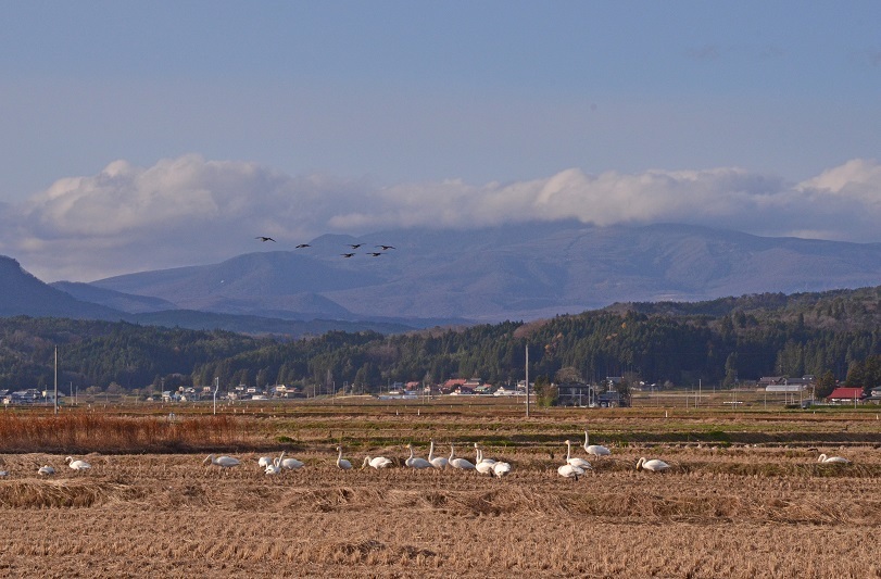 e0349817_20155926.jpg