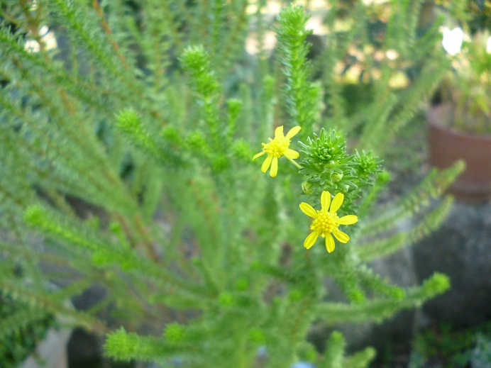 f0228619_9433190.jpg