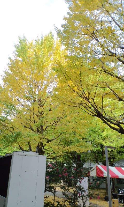 e0050324_1557710.jpg