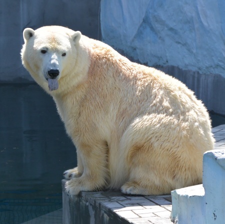 f0344626_00565298.jpg