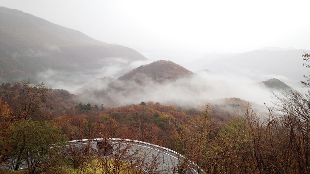 a0024829_23182837.jpg
