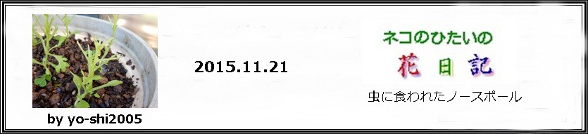 e0033229_1865523.jpg