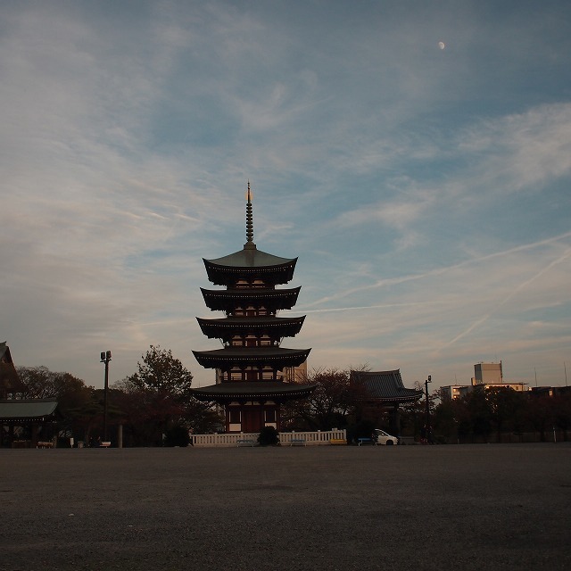 a0148431_21431550.jpg