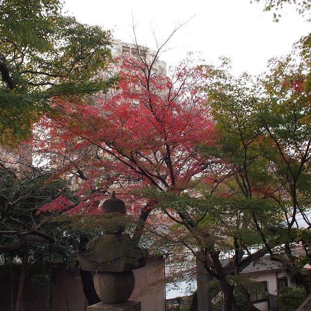 a0148431_21501091.jpg