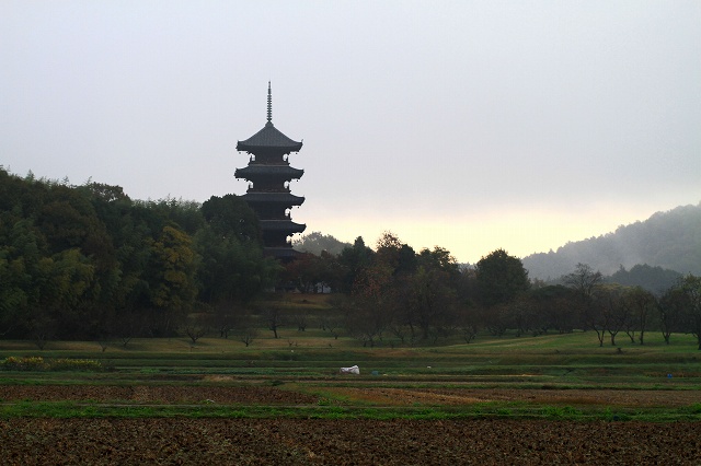 a0242438_2335261.jpg