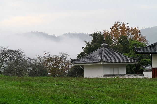 a0242438_2336672.jpg