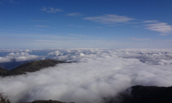b0149340_20253748.jpg