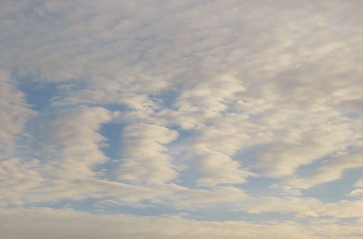 d0288144_22015167.jpg