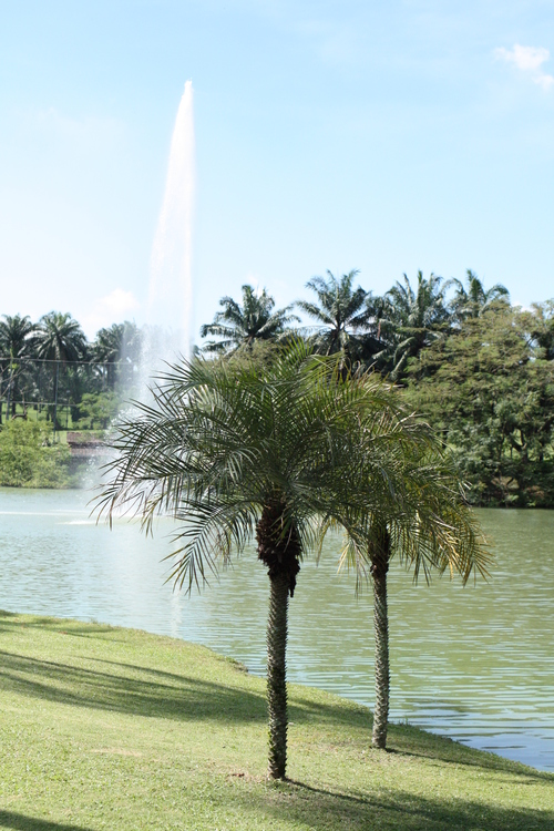 c0209845_1765735.jpg