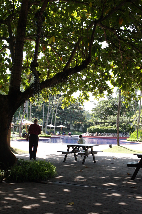 c0209845_179631.jpg