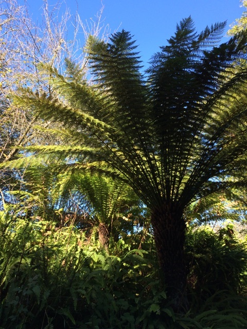 c0245349_14324186.jpg