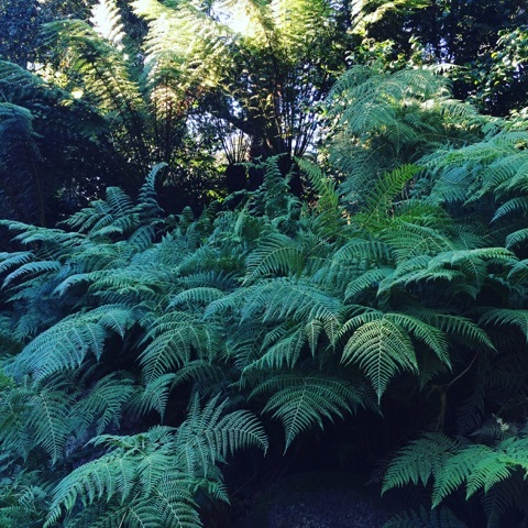 c0245349_14334069.jpg