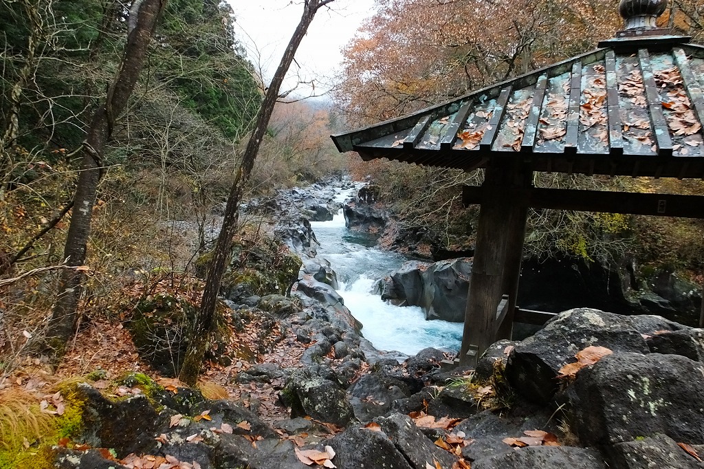 b0236251_1128852.jpg