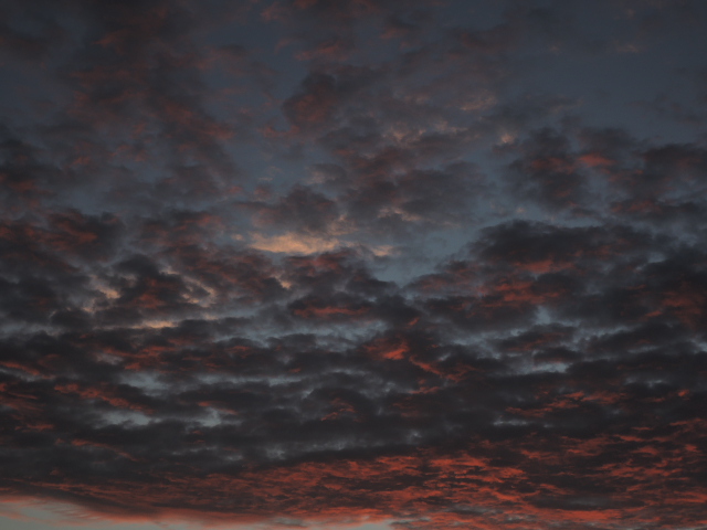 a0250553_8395625.jpg