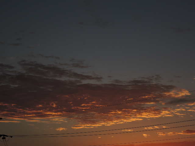 a0250553_8404272.jpg