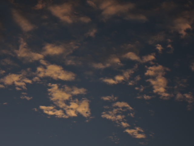 a0250553_8405787.jpg