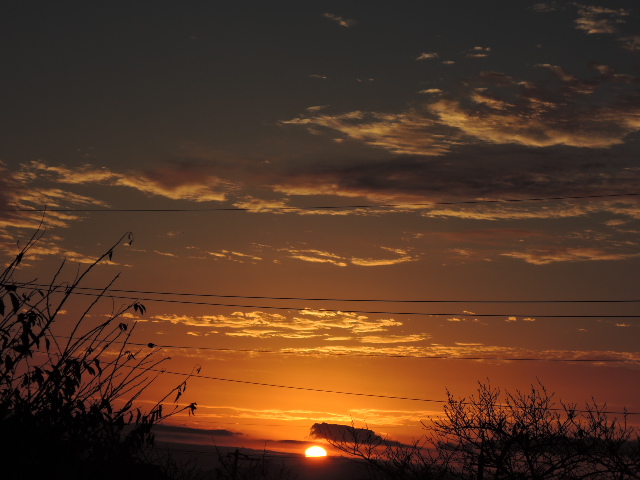 a0250553_8412924.jpg