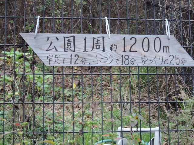 a0250553_8533284.jpg