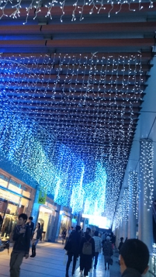 c0328559_228473.jpg