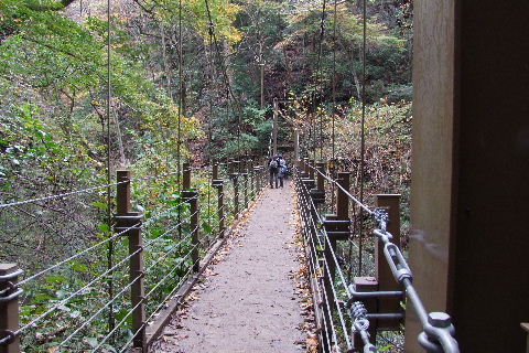 e0088260_2222479.jpg
