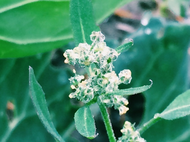 c0195362_21501000.jpg