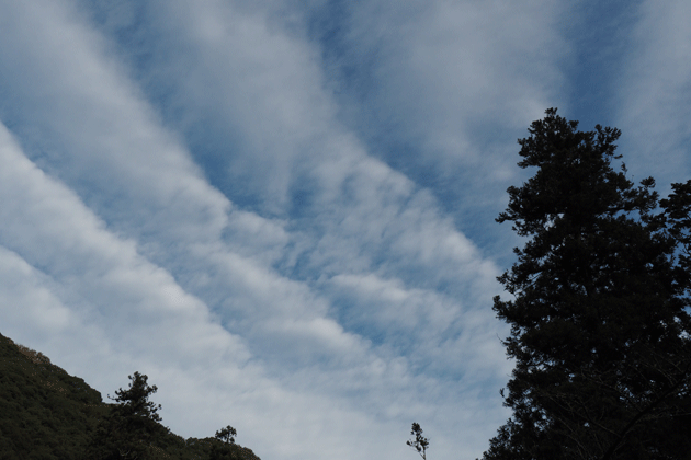 e0346064_13205734.gif