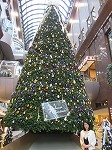 b0188970_181118.jpg
