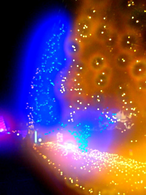c0122670_10022591.jpg