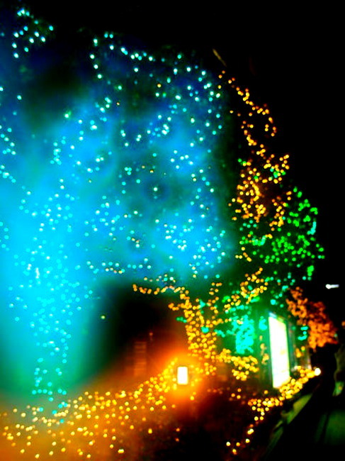 c0122670_10041471.jpg