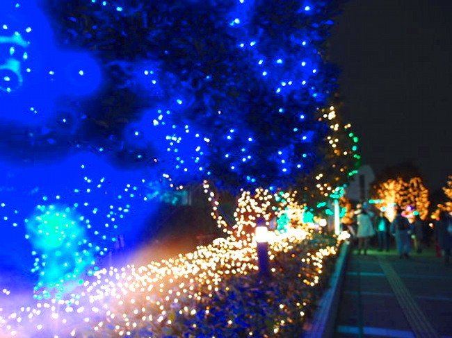 c0122670_10041574.jpg
