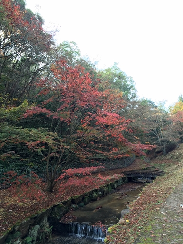 f0299682_16404915.jpg