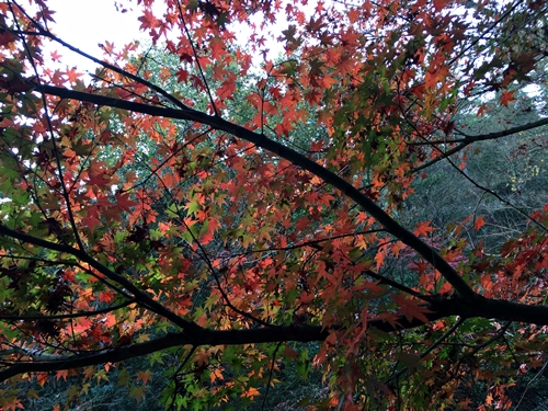 f0299682_16405889.jpg