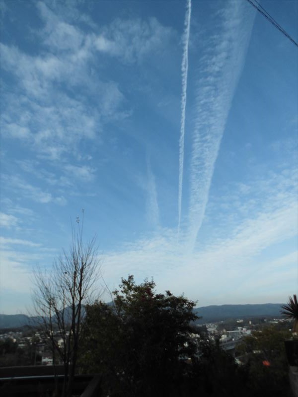 c0108198_144467.jpg