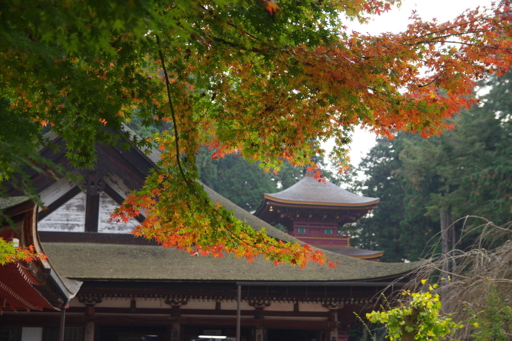c0056707_21220572.jpg