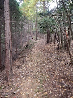 c0359615_21101910.jpg