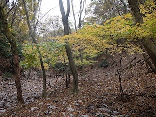 c0359615_21104199.jpg