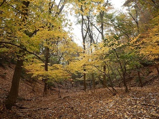 c0359615_21115380.jpg