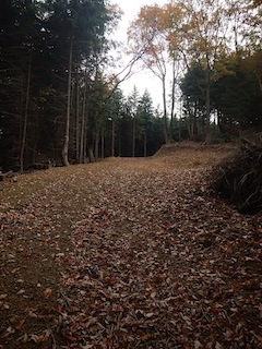 c0359615_21120725.jpg